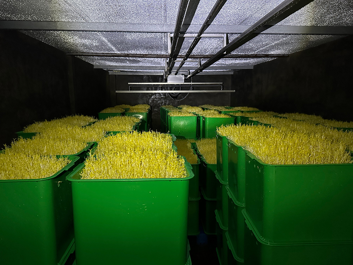 廠家?guī)懔私庠O備的淋水方式